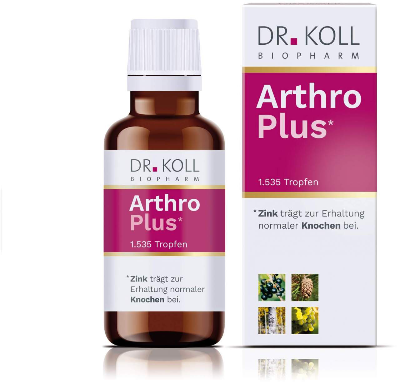 Arthro Plus Dr.Koll Gemmo Kompl.Weinrebe Zink Tropfen 50ml