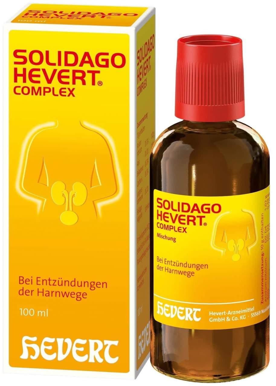 Solidago Hevert Complex Tropfen 100 ml Tropfen
