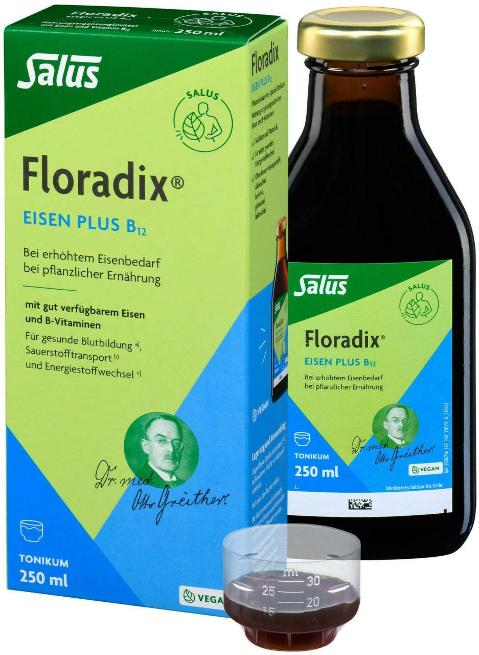 Floradix Eisen Plus B 12 Vegan 250 ml Tonikum