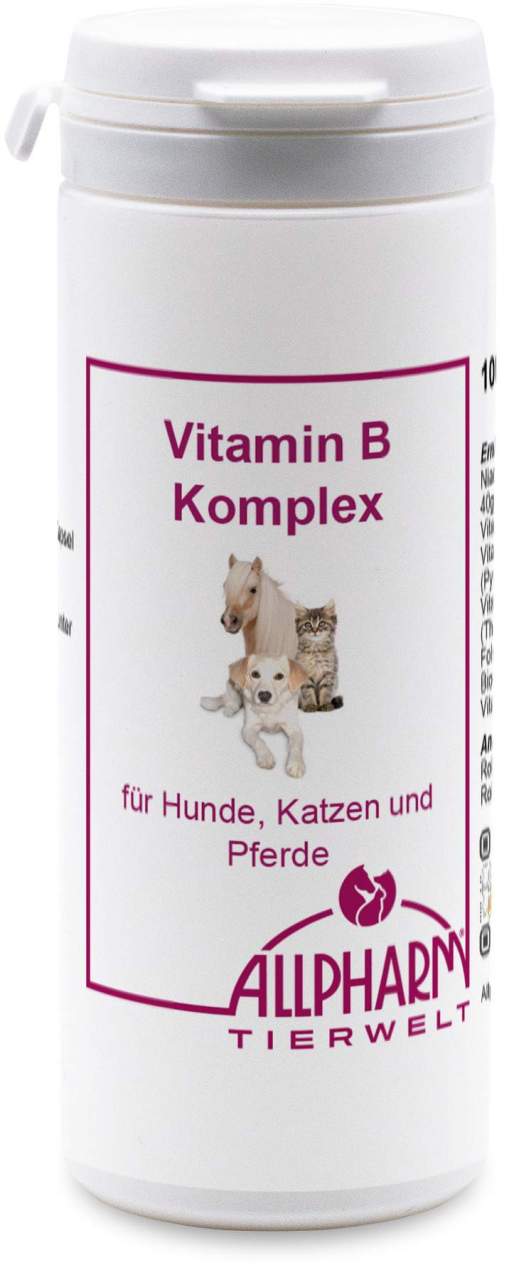 Vitamin B Komplex 100 Kapseln Für Hunde