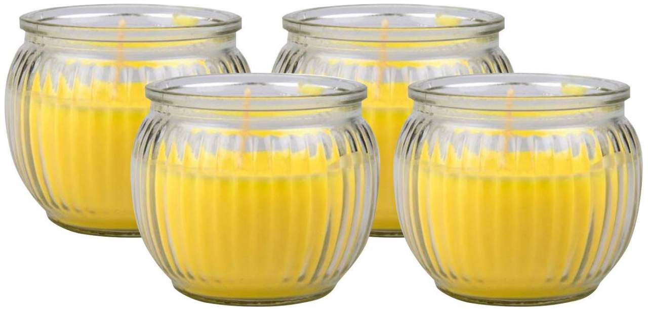 Citronella Kerze im Glas 4er-Set