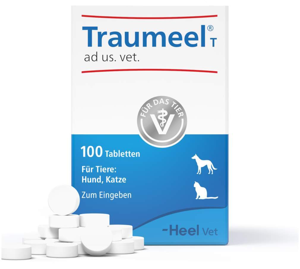 Traumeel T Vet. 250 Tabletten