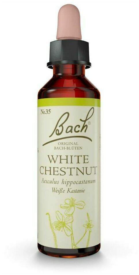 Original Bach-Blüte White Chestnut Tropfen 10 ml