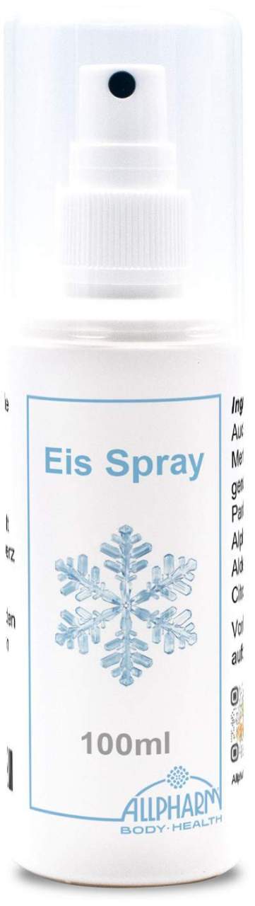 Eisspray 100 ml