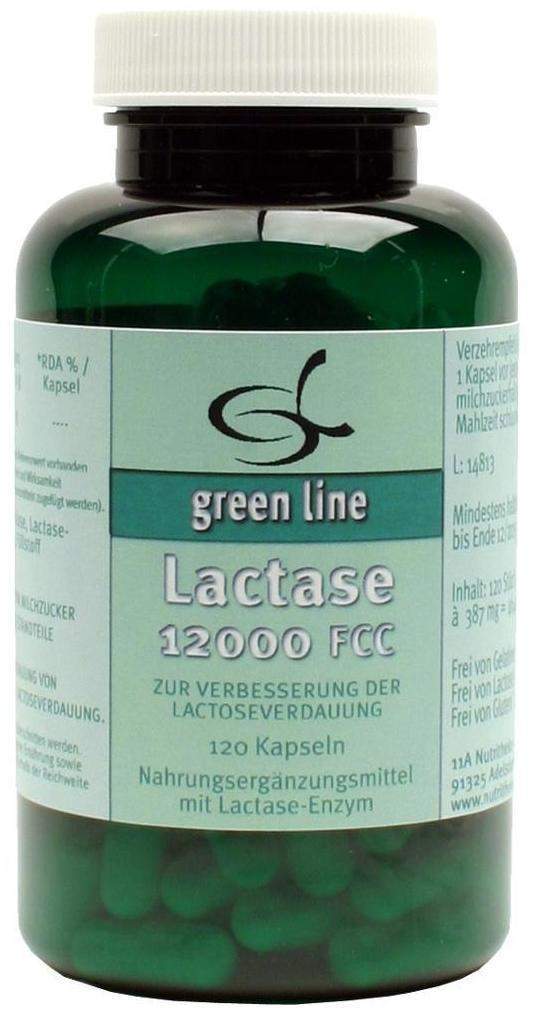 Lactase 12000 Fcc 120 Kapseln