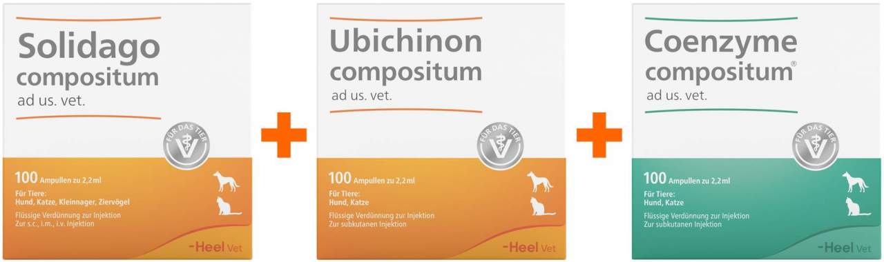 Solidago Compositum ad us.vet 100 St. + Ubichinon Compositum ad us.vet. 100 St. + Coenzym Compositum ad us.vet. 100 St.