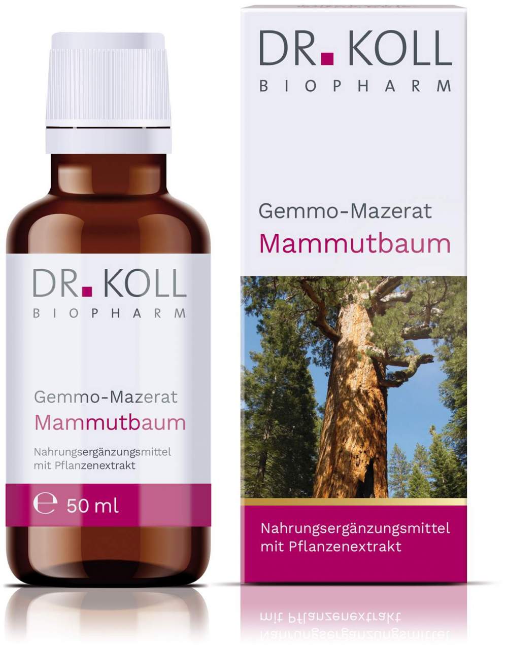 Gemmo Mazerat Kastanie Dr.Koll Castanea Vesca Tropfen 50 ml