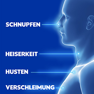 Eine seitliche Silhouette von Oberkörper und Kopf. Text daneben nennt die Symptome: Schnupfen, Heiserkeit, Verschleimung, Husten