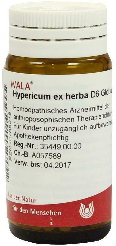 Wala Hypericum Ex Herba D6 20 G Globuli