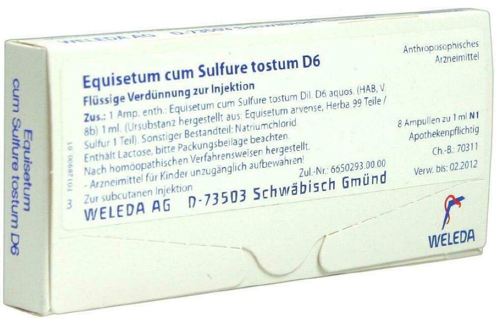 Weleda Equisetum Cum Sulfure Tostum D6 8 X 1 ml Ampullen