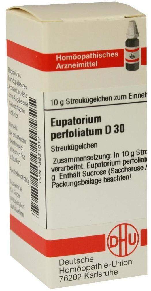 Dhu Eupatorium Perfoliatum D30 Globuli