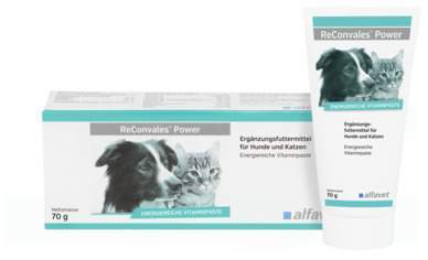 Reconvales Power Vitaminpaste F.Hunde Katzen 70g