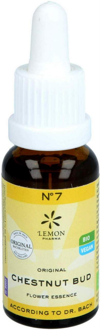 Bachblüten No.7 Chestnut Bud Bio 20 ml