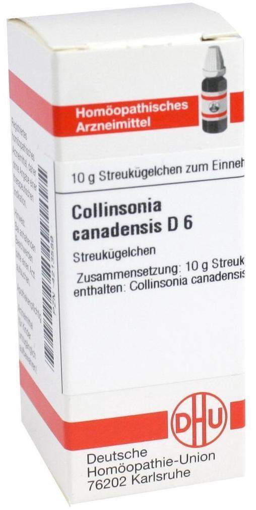 Dhu Collinsonia Canadensis D6 10 G Globuli