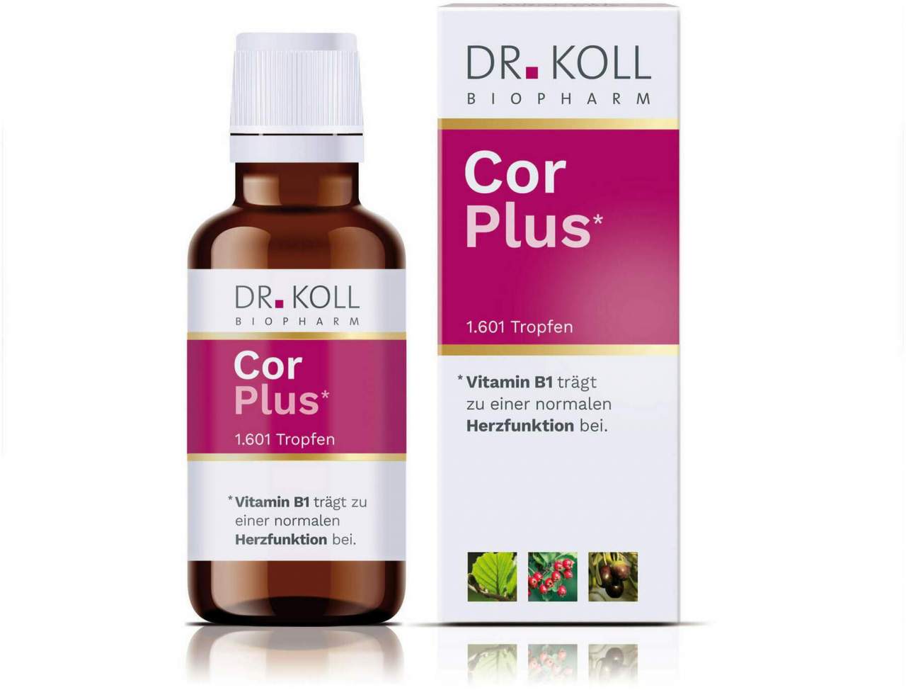 Cor Plus Dr.Koll Gemmo Komplex Weißdorn Vitamin B1 Tropfen 50 ml