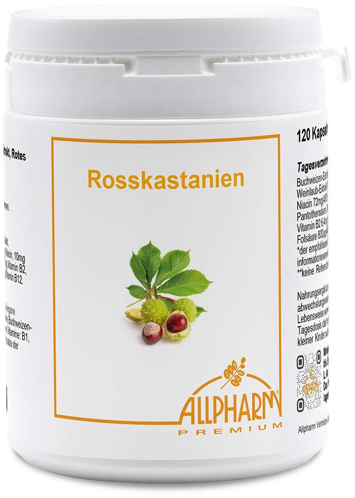 Rosskastanien Kapseln