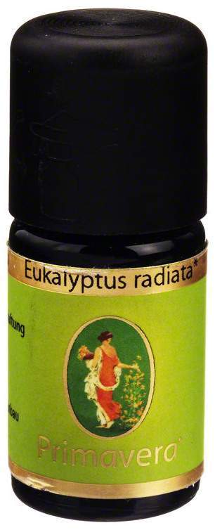 Primavera Eukalyptus Radiata Ätherisches Öl Bio 5 ml