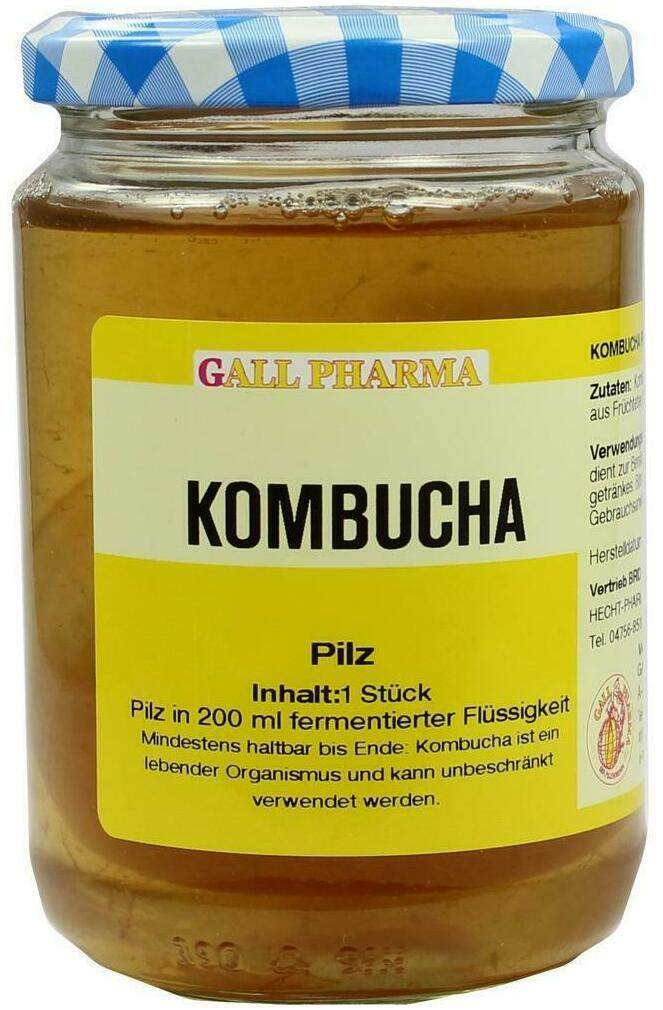 Kombucha Teepilz