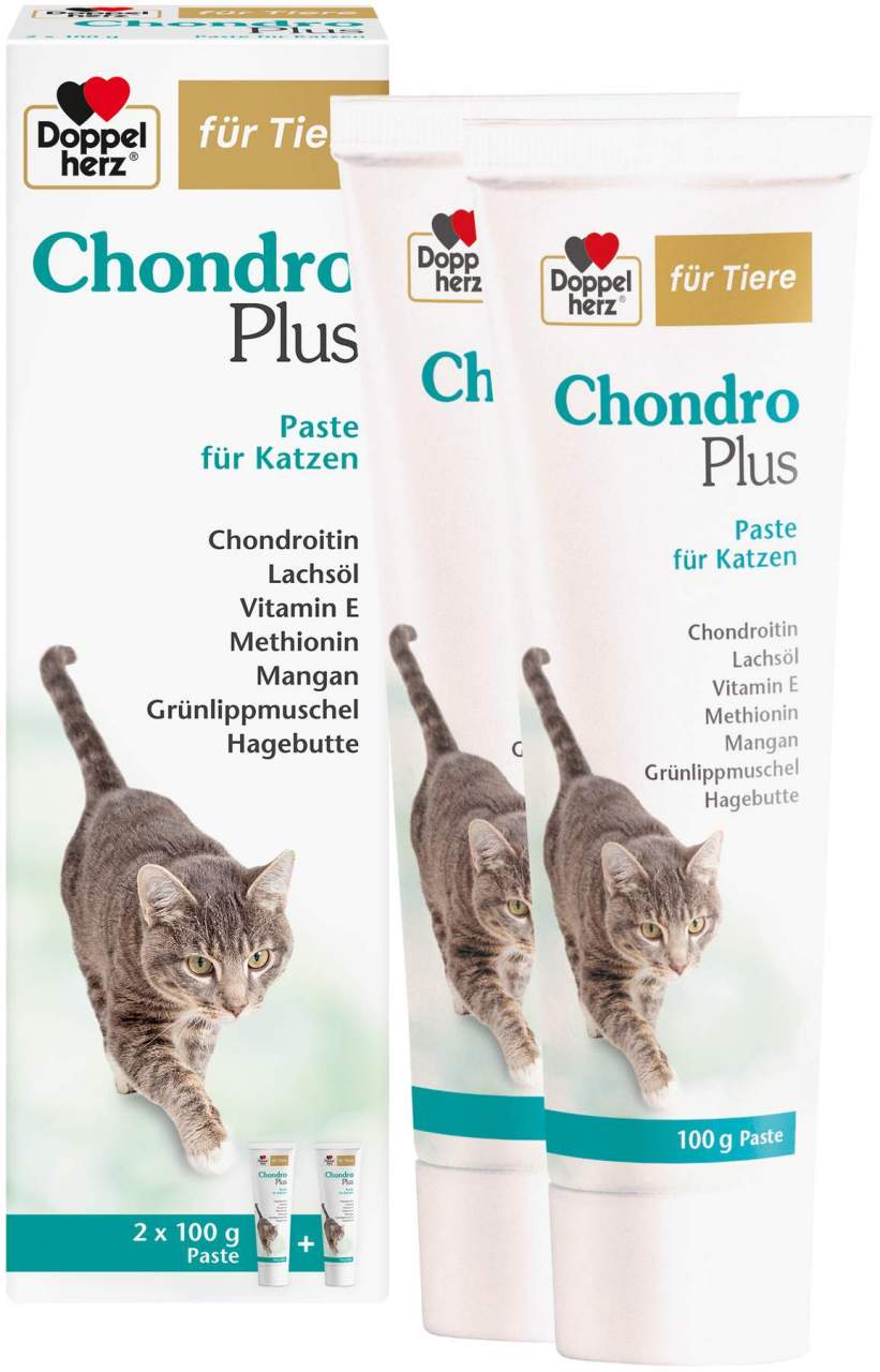 Doppelherz Für Tiere Chondro Plus Paste Für Katzen 200 G
