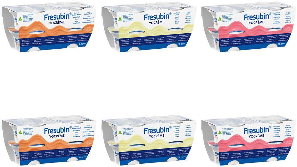 Fresubin Yocreme Mischkarton 24x125 G