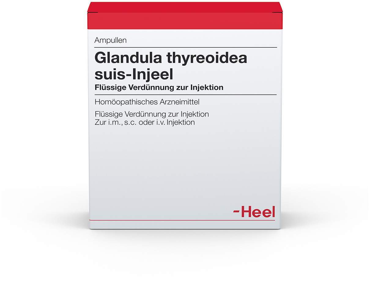 Glandula Thyreoidea Suis Injeele 1,1 ml Flüssige Verdünnung