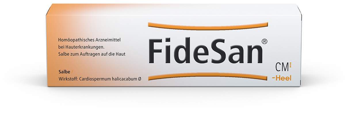 Fidesan Salbe 100 G Salbe