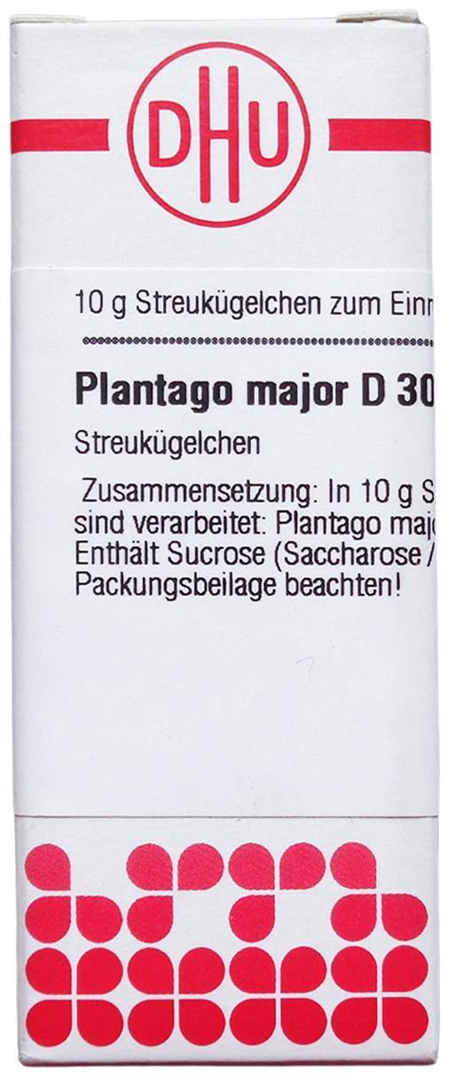 Dhu Plantago Major D30 Globuli 10 G