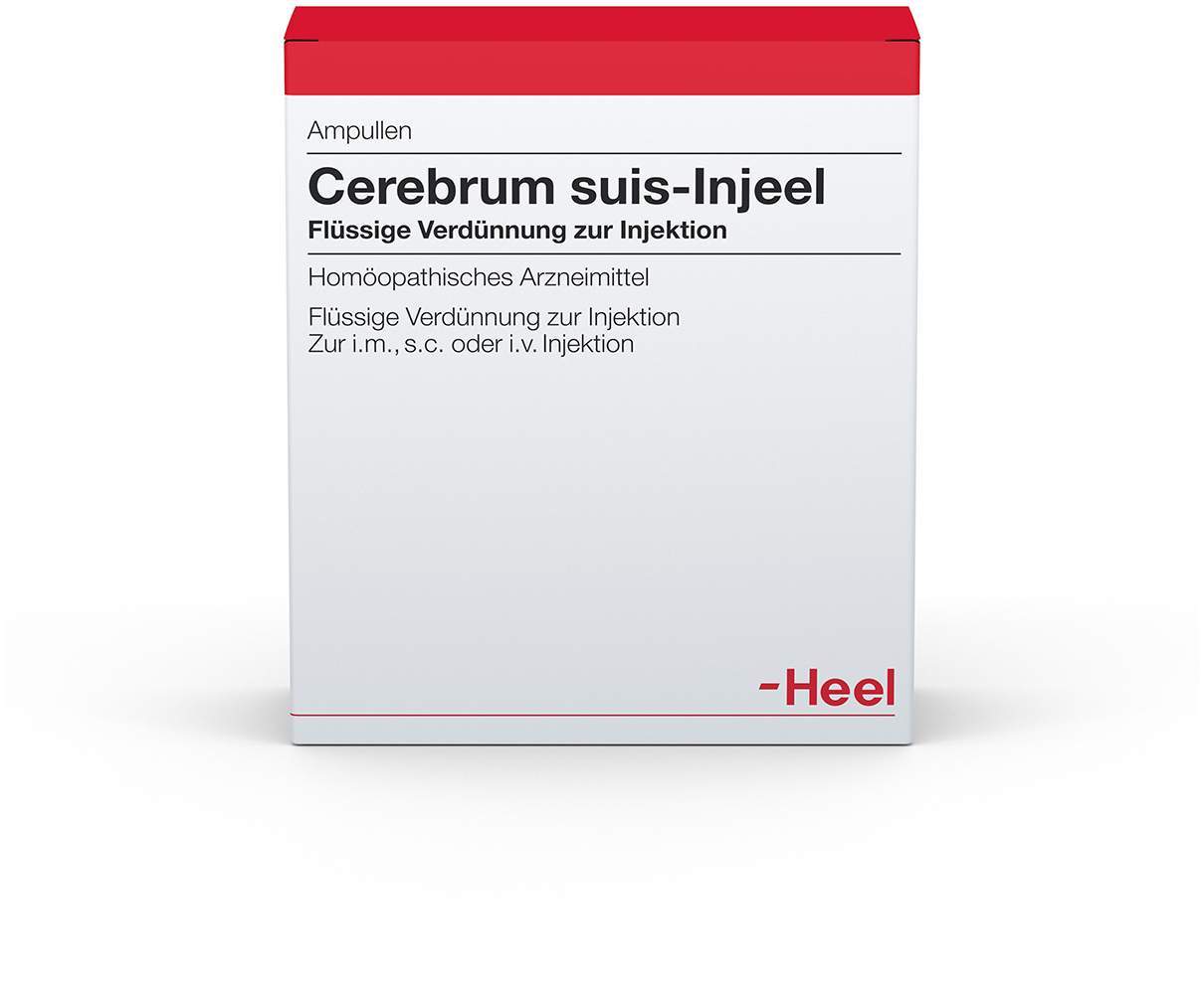 Cerebrum Suis Injeele 1,1 ml 10 Ampullen