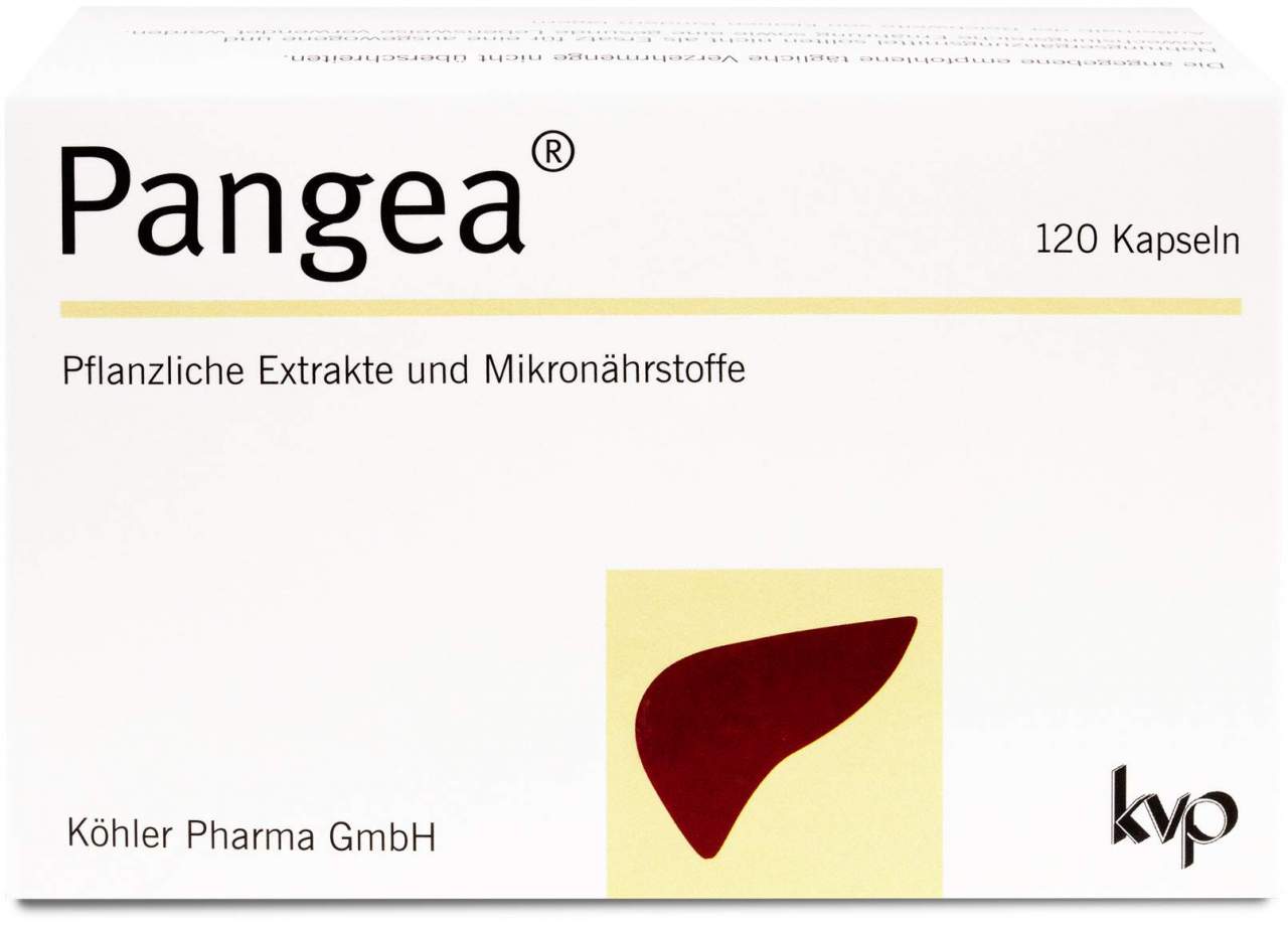 Pangea Kapseln 120 Stück