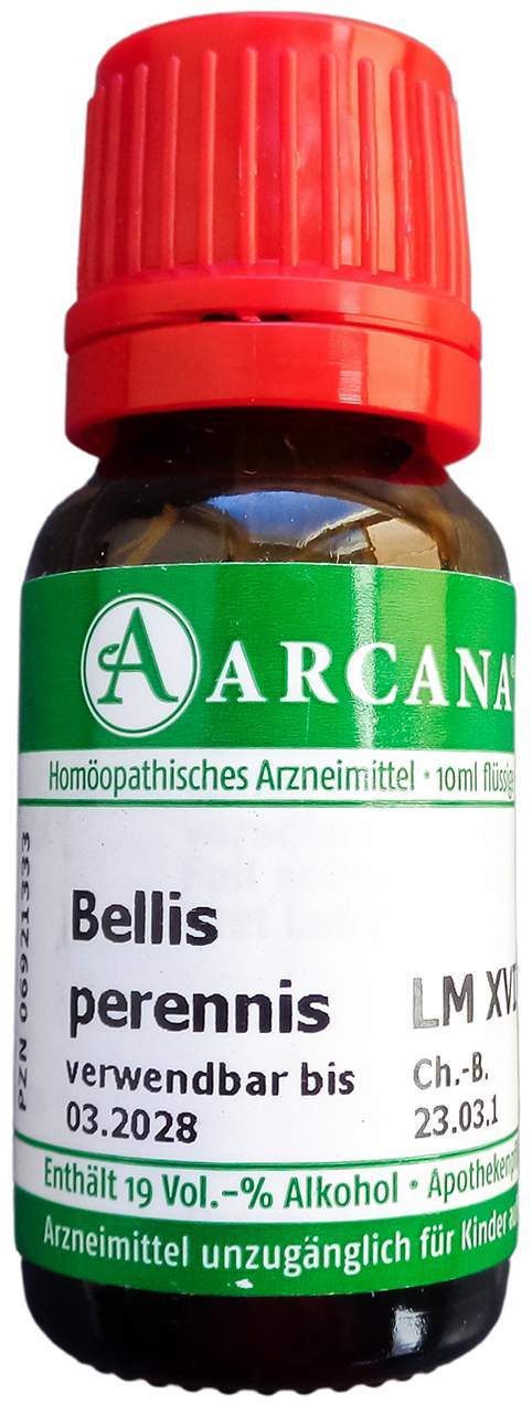 Bellis Perennis Lm 18 Dilution