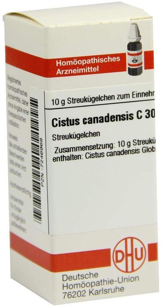 Dhu Cistus Canadensis C30 Globuli