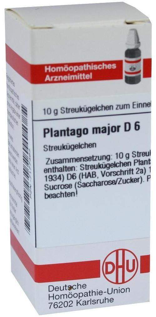 Dhu Plantago Major D6 Globuli