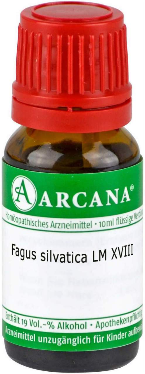 Fagus Silvatica Lm 18 Dilution 10 ml