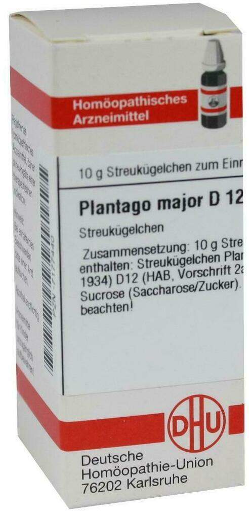 Dhu Plantago Major D12 Globuli