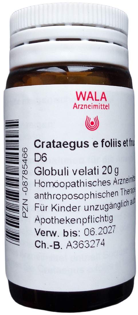 Crataegus E Foliis Et Fructibus D 6 Globuli 20 G
