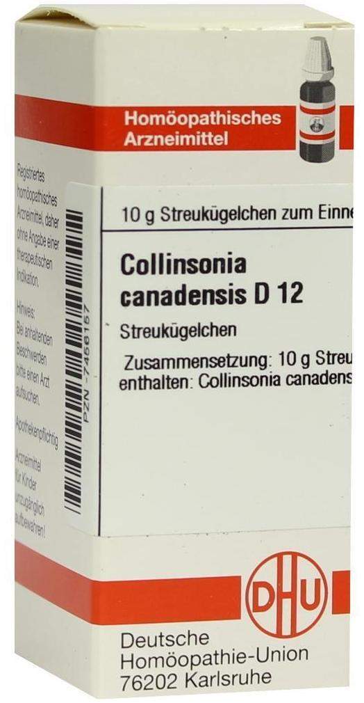 Dhu Collinsonia Canadensis D12 10 G Globuli
