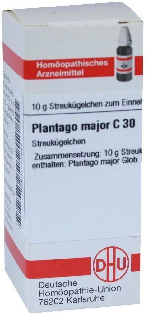 Dhu Plantago Major C30 10 G Globuli