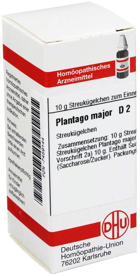 Dhu Plantago Major D2 Globuli