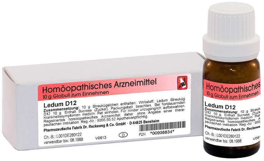 Ledum D12 10 G Globuli