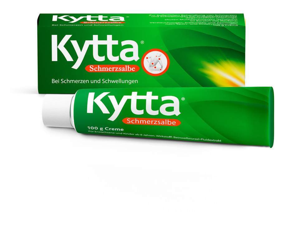 Kytta Schmerzsalbe 100 g