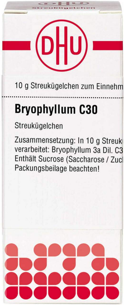 Dhu Bryophyllum C30 Globuli 10 G