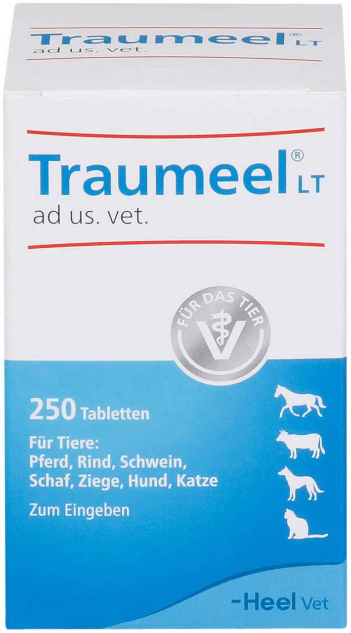 Traumeel Lt Ad Us.Vet.Tabletten 250 Stück