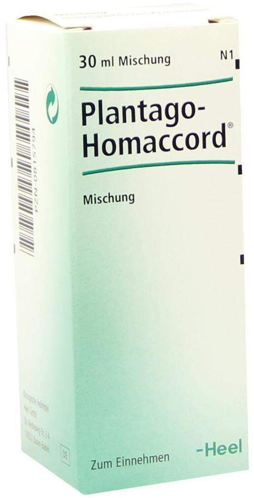 Plantago Homaccord 30 ml Tropfen