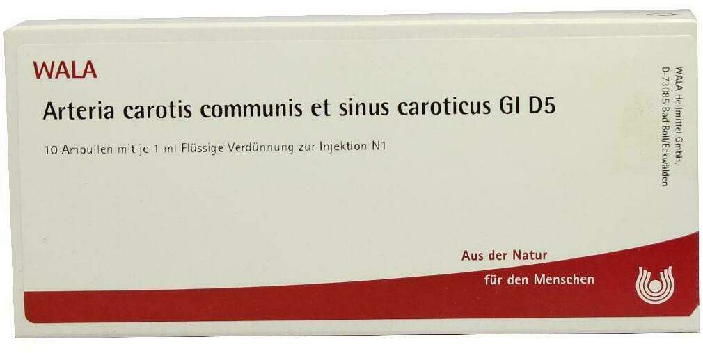 Wala Arteria Carotis Communis Et Sinus Caroticus Gl D5 10 X 1...