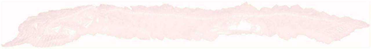 Duschhaube Transparent 20 My Pe 10 Stück - Duschhaube