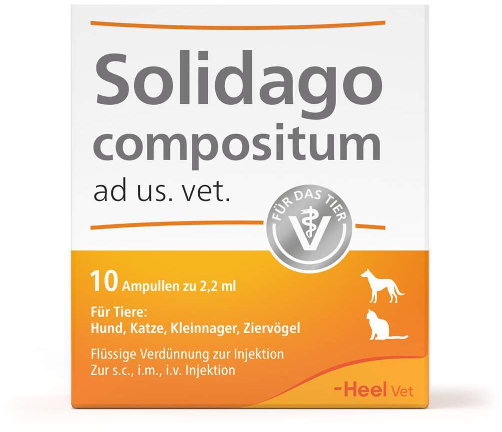 Solidago Compositum 10 Ampullen vet.