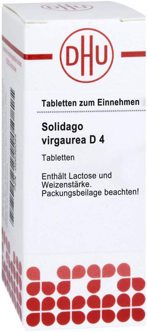 Dhu Solidago Virgaurea D4 80 Tabletten