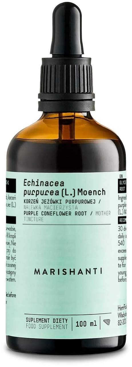Echinacea Wurzel Extrakt Tropfen alkoholfrei 100 ml