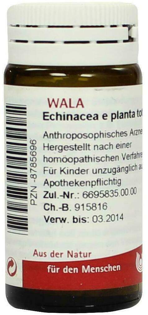 Wala Echinacea E Planta Tota D3 20 G Globuli