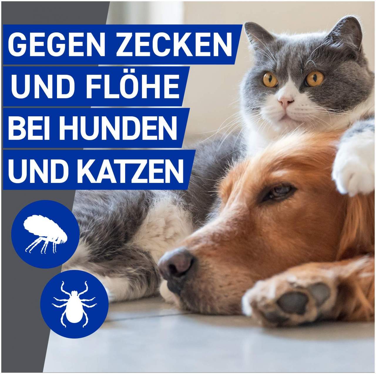 Frontline vet. Spray 100ml